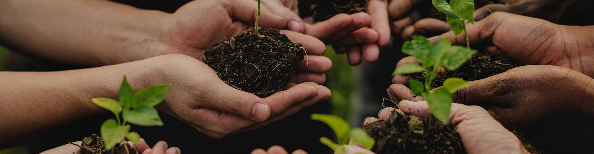 Corporate Social Responsibility