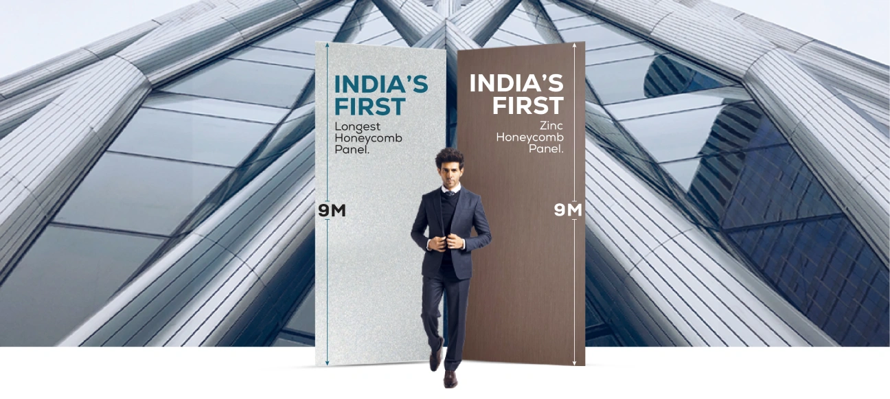 Alstone Zinc Honeycomb Panel article cover image